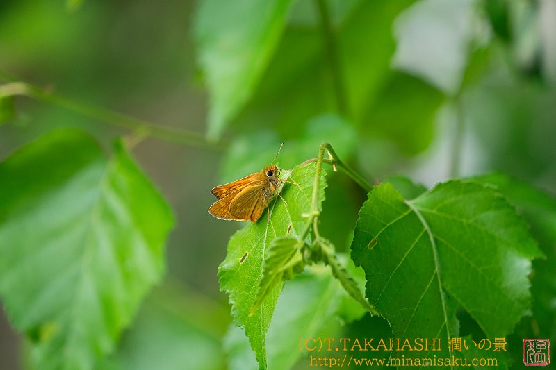 ../Images/7R240804 (76).jpg